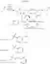 Fig. 07 - Efficient synthesis of amines and amides from alcohols and aldehydes by using cascade catalysis