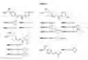 Fig. 02 - Linked diaryl compounds with anticancer properties and methods of using the same