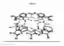 Fig. 19 - Linked diaryl compounds with anticancer properties and methods of using the same