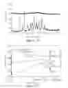 Fig. 12 - Amorphous form of apremilast