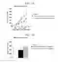 Fig. 02 - Compound, production method therefor, and use of said compound