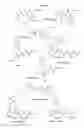Fig. 02 - PYRAZOLE COMPOUNDS SELECTIVE FOR NEUROTENSIN 2 RECEPTOR