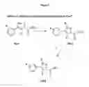 Fig. 04 - PYRAZOLE COMPOUNDS SELECTIVE FOR NEUROTENSIN 2 RECEPTOR