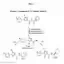 Fig. 05 - PYRAZOLE COMPOUNDS SELECTIVE FOR NEUROTENSIN 2 RECEPTOR