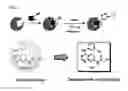 Fig. 03 - Compounds and methods for inhibiting vacuolar ATPase