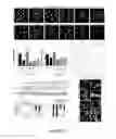 Fig. 03 - NAT10 modulators for treating or preventing laminopathies, aging and cancer
