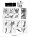 Fig. 15 - NAT10 modulators for treating or preventing laminopathies, aging and cancer