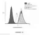 Fig. 23 - NAT10 modulators for treating or preventing laminopathies, aging and cancer