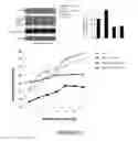 Fig. 29 - NAT10 modulators for treating or preventing laminopathies, aging and cancer