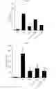 Fig. 03 - 2-phenylbenzofuran derivatives, method for preparing the same and use of the same for treating inflammatory disease