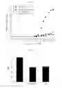 Fig. 08 - 2-phenylbenzofuran derivatives, method for preparing the same and use of the same for treating inflammatory disease