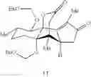 Fig. 11 - Synthetic route to anhydroryanodol, ryanodol and structural analogues