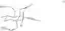 Fig. 34 - Synthetic route to anhydroryanodol, ryanodol and structural analogues