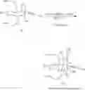 Fig. 42 - Synthetic route to anhydroryanodol, ryanodol and structural analogues