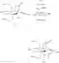 Fig. 44 - Synthetic route to anhydroryanodol, ryanodol and structural analogues