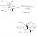 Fig. 45 - Synthetic route to anhydroryanodol, ryanodol and structural analogues