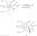 Fig. 46 - Synthetic route to anhydroryanodol, ryanodol and structural analogues