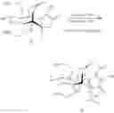 Fig. 49 - Synthetic route to anhydroryanodol, ryanodol and structural analogues