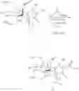 Fig. 51 - Synthetic route to anhydroryanodol, ryanodol and structural analogues