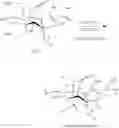 Fig. 53 - Synthetic route to anhydroryanodol, ryanodol and structural analogues