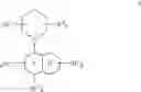 Fig. 02 - TLR7/8 antagonists and uses thereof