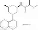Fig. 191 - TLR7/8 antagonists and uses thereof