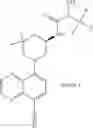 Fig. 245 - TLR7/8 antagonists and uses thereof