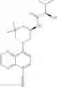 Fig. 247 - TLR7/8 antagonists and uses thereof