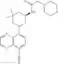 Fig. 248 - TLR7/8 antagonists and uses thereof