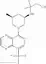 Fig. 286 - TLR7/8 antagonists and uses thereof
