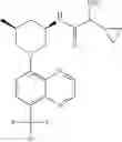 Fig. 328 - TLR7/8 antagonists and uses thereof