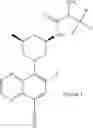Fig. 379 - TLR7/8 antagonists and uses thereof