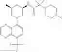Fig. 389 - TLR7/8 antagonists and uses thereof
