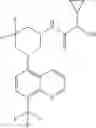 Fig. 547 - TLR7/8 antagonists and uses thereof