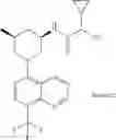 Fig. 555 - TLR7/8 antagonists and uses thereof