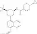 Fig. 612 - TLR7/8 antagonists and uses thereof