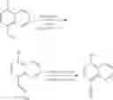 Fig. 635 - TLR7/8 antagonists and uses thereof