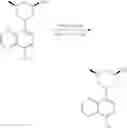 Fig. 676 - TLR7/8 antagonists and uses thereof