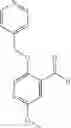 Fig. 335 - Compounds and uses thereof for the modulation of hemoglobin