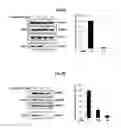Fig. 06 - Antiviral compounds and methods using same