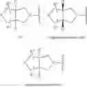 Fig. 10 - Antibacterial cyclopenta[C]pyrrole substituted 3,4-Dihydro-1H-[1,8]naphthyridinones