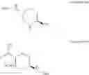 Fig. 21 - Process for preparation of sodium (2S, 5R)-6-(benzyloxy)-7-oxo-1,6-diazabicyclo[3.2.1]octane-2-carboxylate
