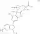 Fig. 24 - Soluble guanylate cyclase stimulators