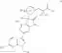 Fig. 505 - Soluble guanylate cyclase stimulators