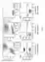 Fig. 10 - Biotin Derivatives