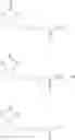 Fig. 17 - Biotin Derivatives