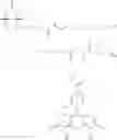 Fig. 92 - Biotin Derivatives