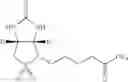 Fig. 95 - Biotin Derivatives
