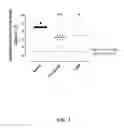 Fig. 02 - Substituted 4-phenyl pyridine compounds as non-systemic TGR5 agonists