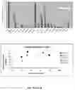 Fig. 12 - Bi-terminal pegylated integrin-binding peptides and methods of use thereof